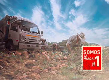 Isuzu Banner