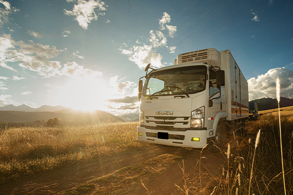 Contacto Isuzu